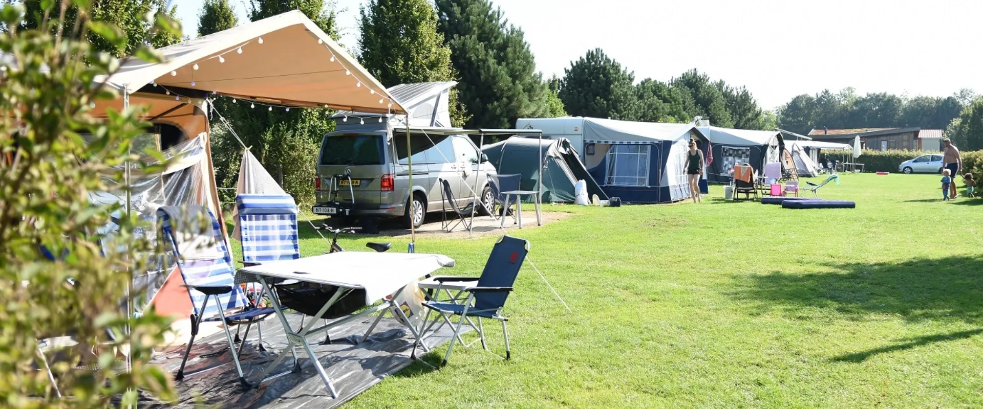 Veld Lijster Kamperen t Weergors Hellevoetsluis 2